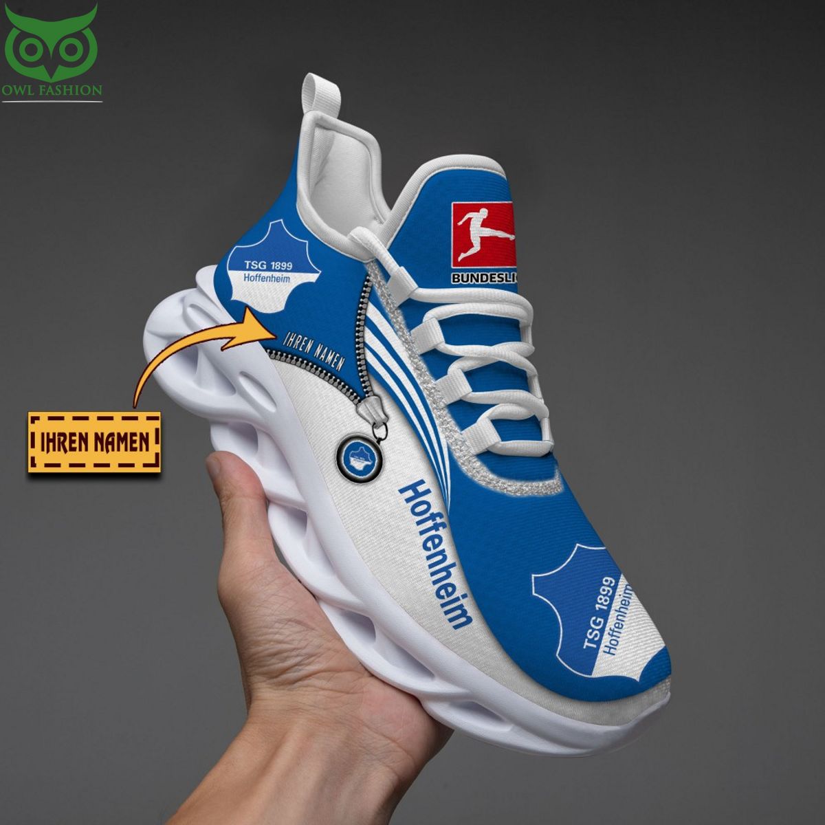 TSG Hoffenheim Bundesliga Max Soul