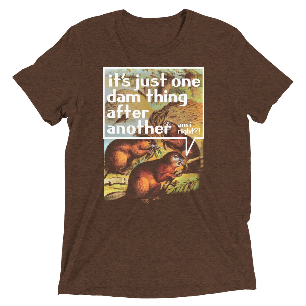 It's Just One Dam Thing After Another Men's Tri-Blend Tee