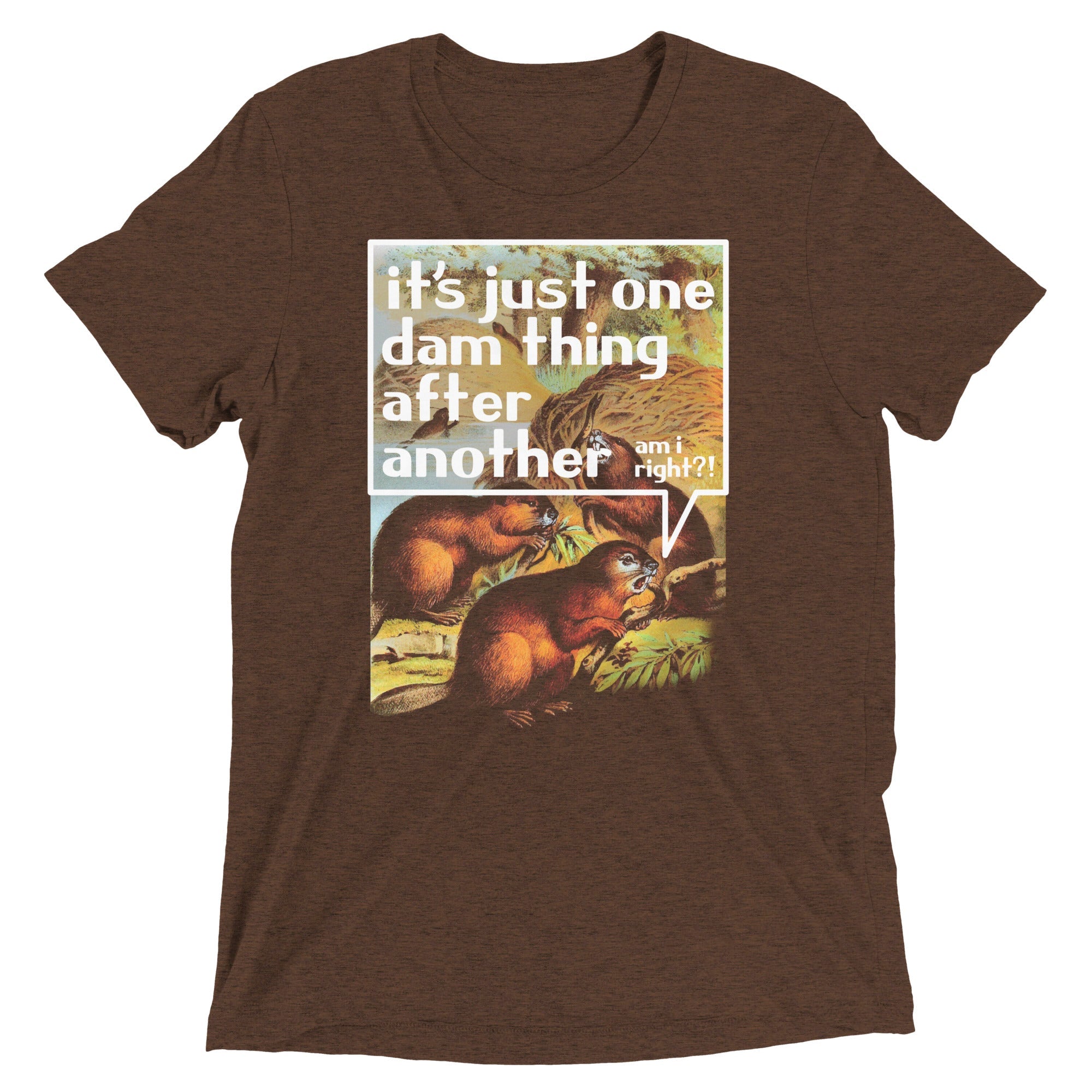 It's Just One Dam Thing After Another Men's Tri-Blend Tee