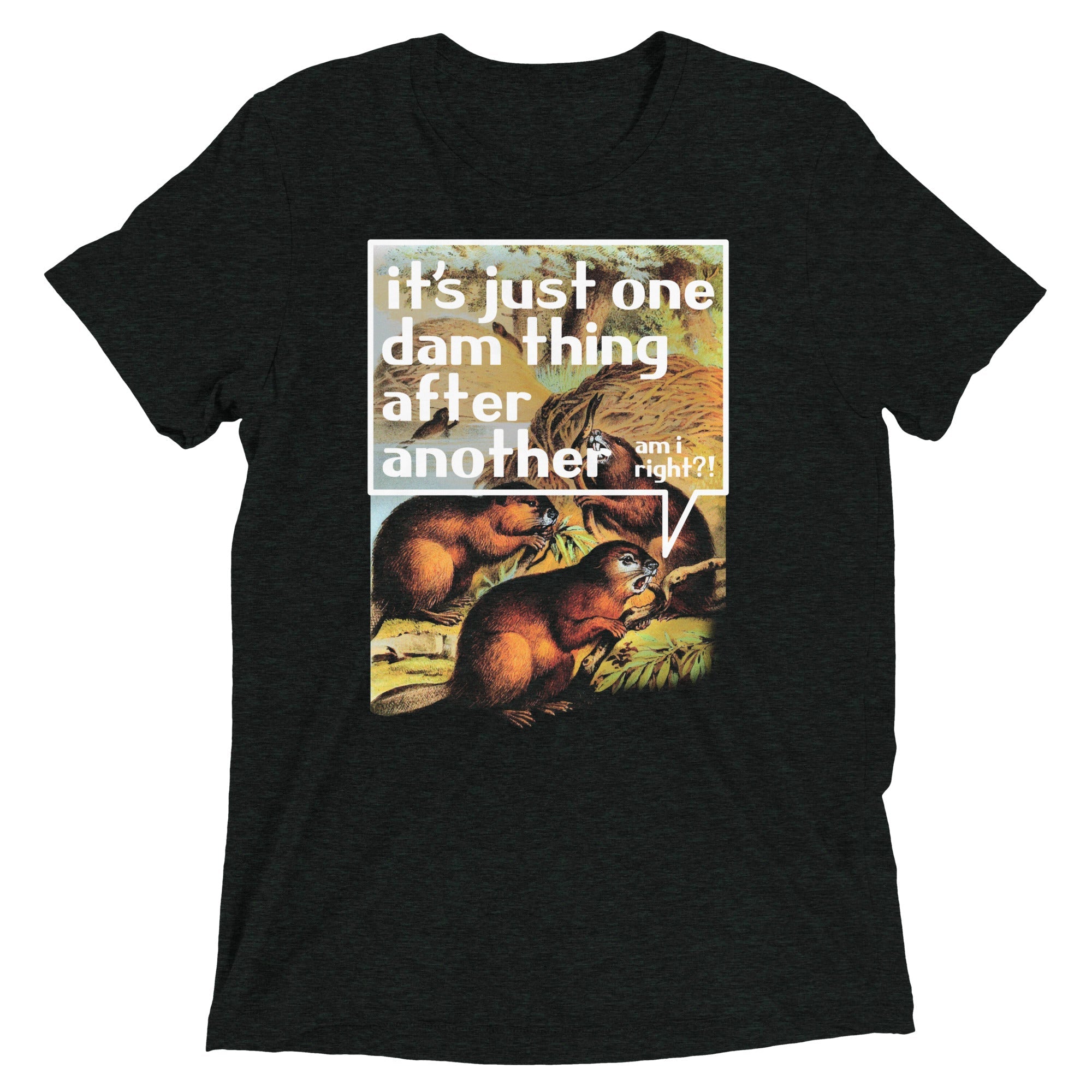 It's Just One Dam Thing After Another Men's Tri-Blend Tee