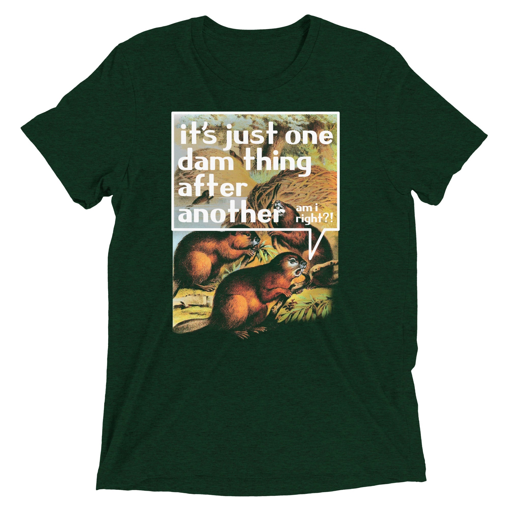 It's Just One Dam Thing After Another Men's Tri-Blend Tee