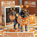 Tennessee Volunteers 135th Anniversary Commemorative Building Block Set