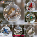 2026 Birds Wonders Collection Christmas Ornament