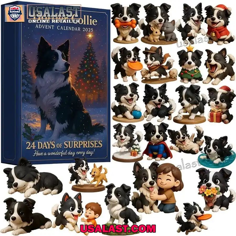 Border Collie Dog Advent Calendar 2025
