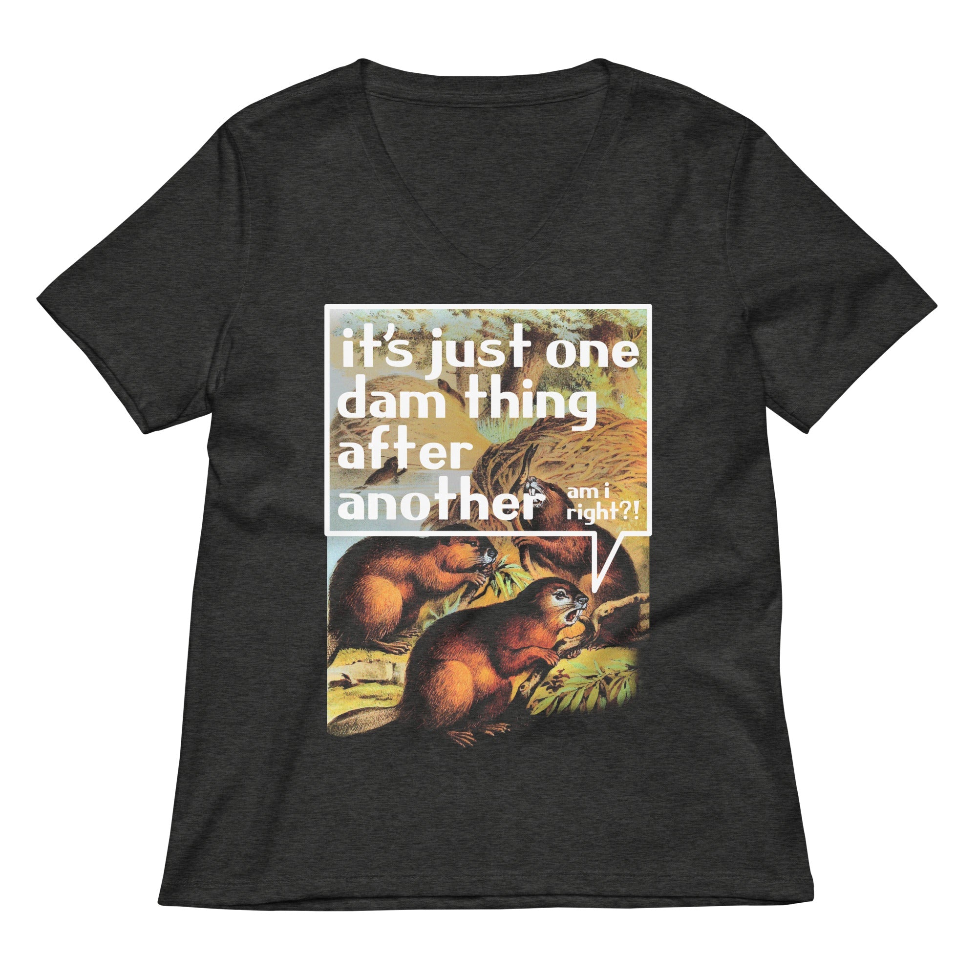 It's Just One Dam Thing After Another Women's V-Neck Tee