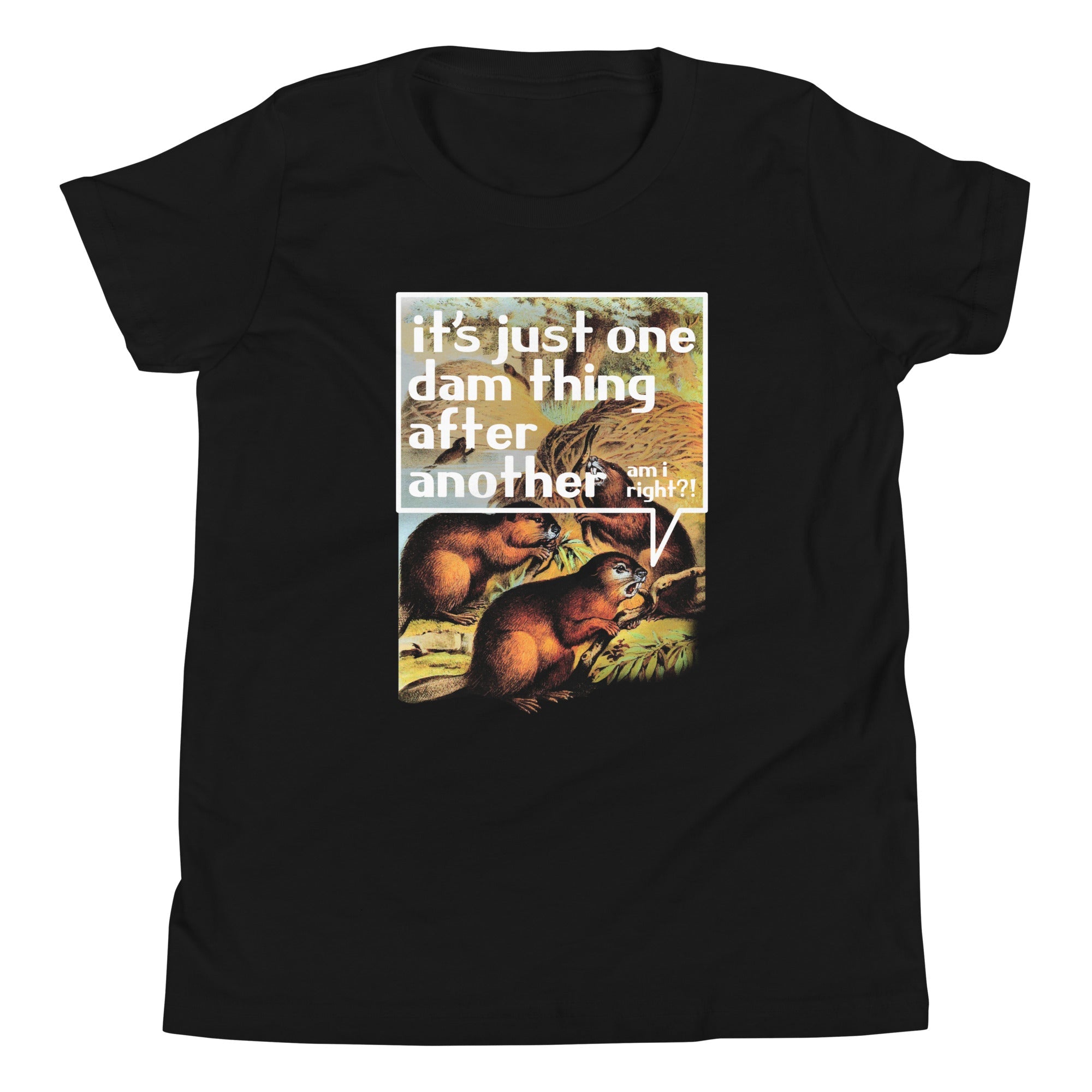 It's Just One Dam Thing After Another Kid's Youth Tee